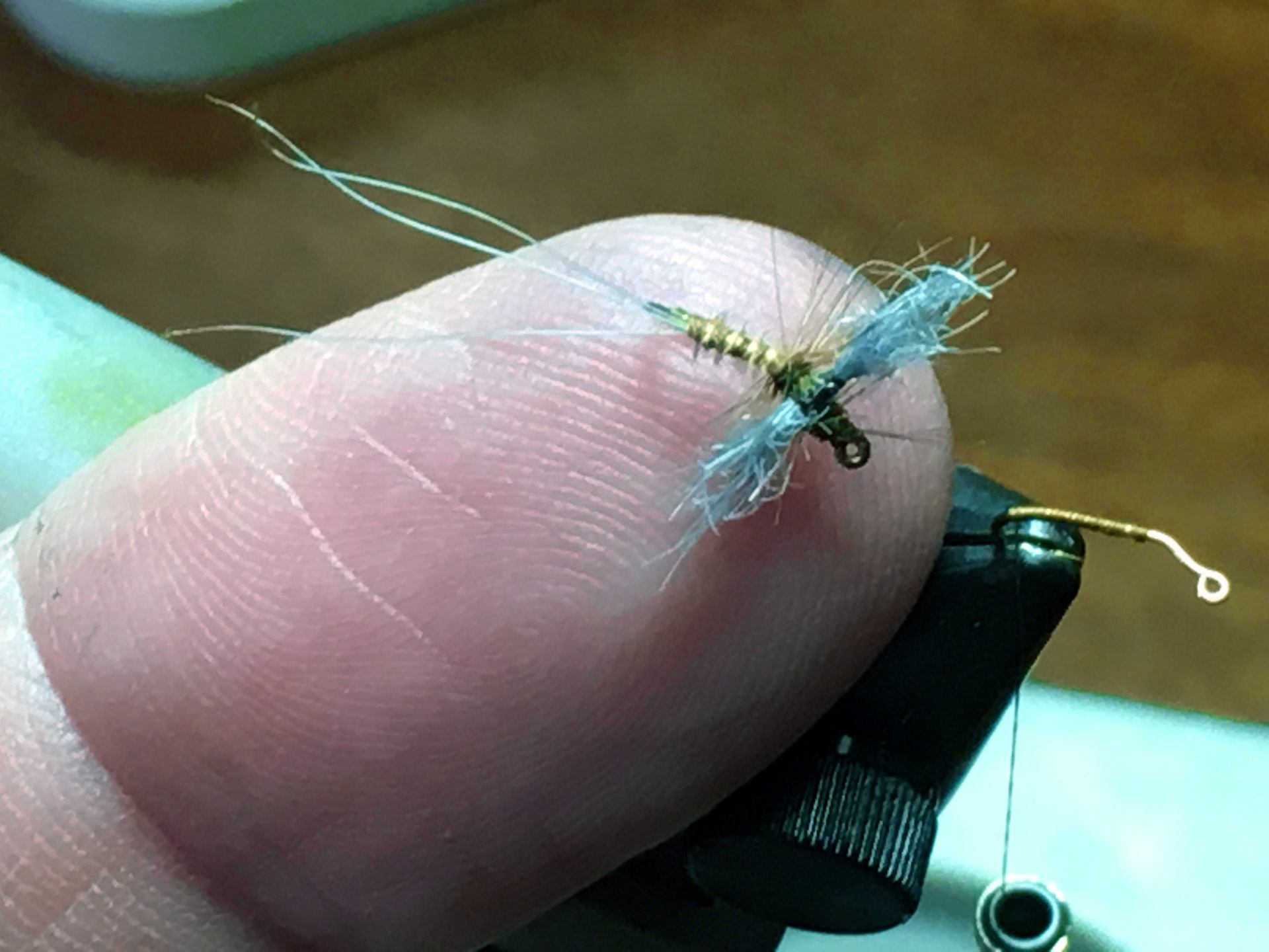 A size 18 BWO fly sitting on my finger