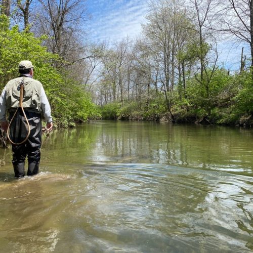 Me on the Mad River searching for bugs and rises while wading downstream