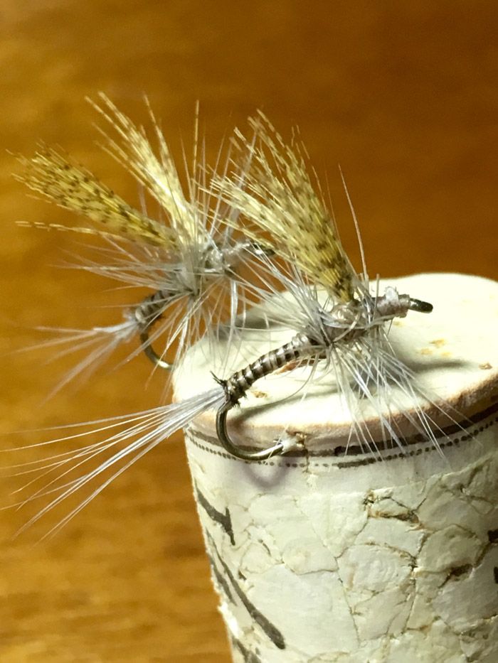 Quill gordon hooked into a cork