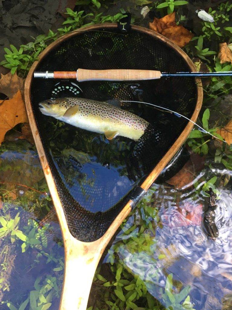 A top down photo of a small trout in a net with rod and reel laying in the shallow water with foliage around