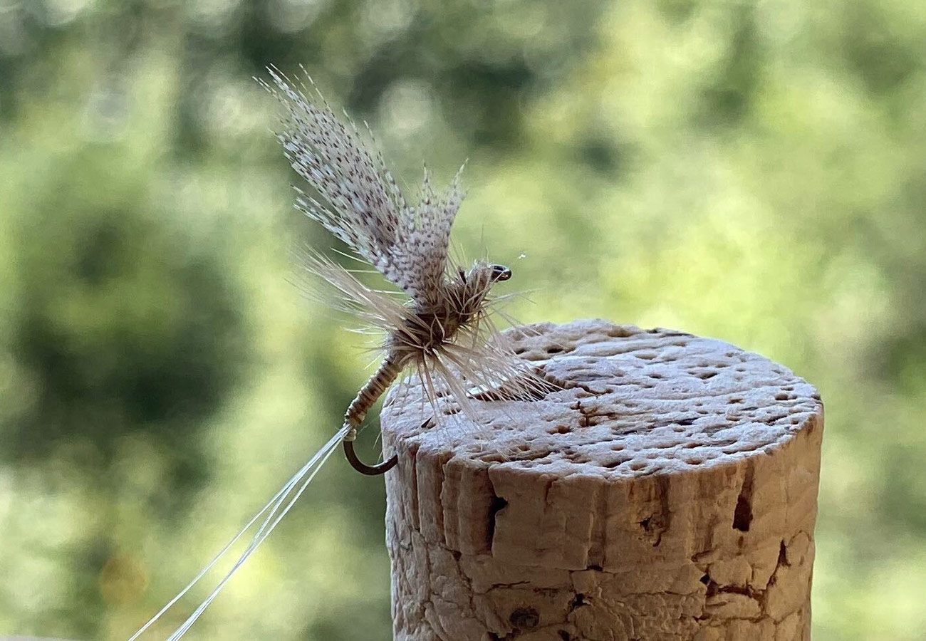 Catskill mayfly hooked into a cork