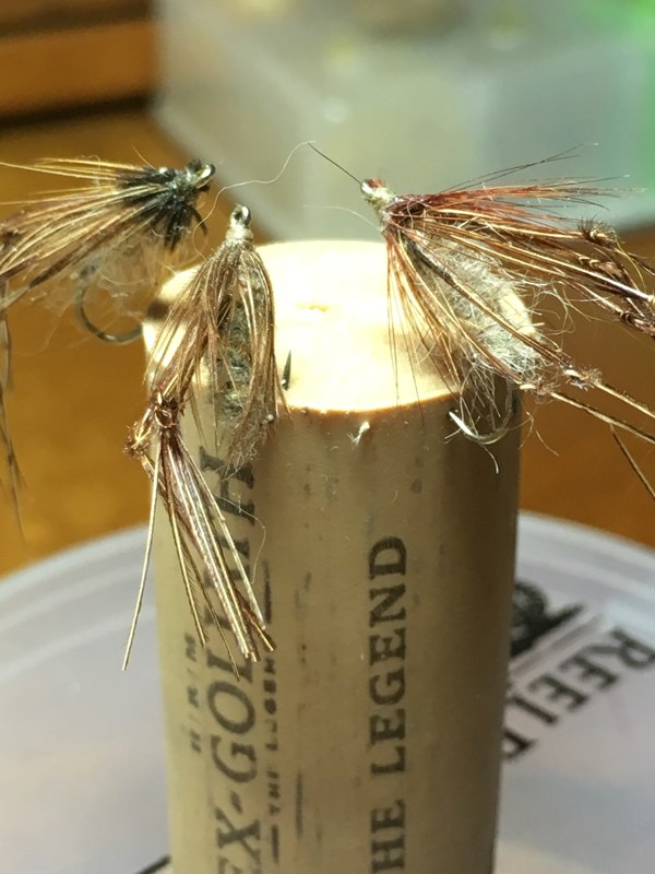 Caddis with legs hooked into a cork