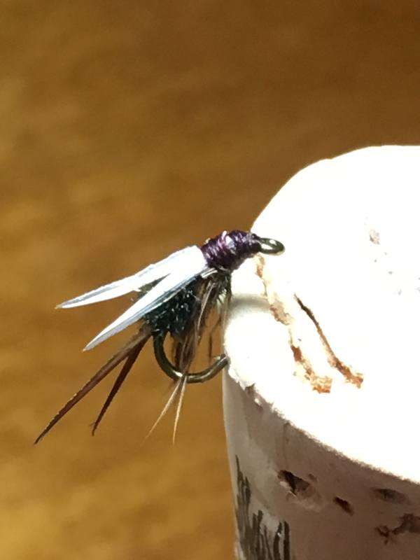 Prince nymph hooked into a cork