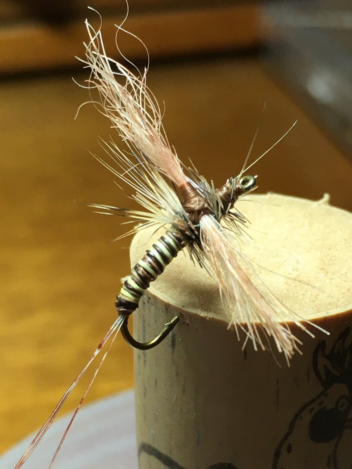 Polar Cripple Brown Drake Fly