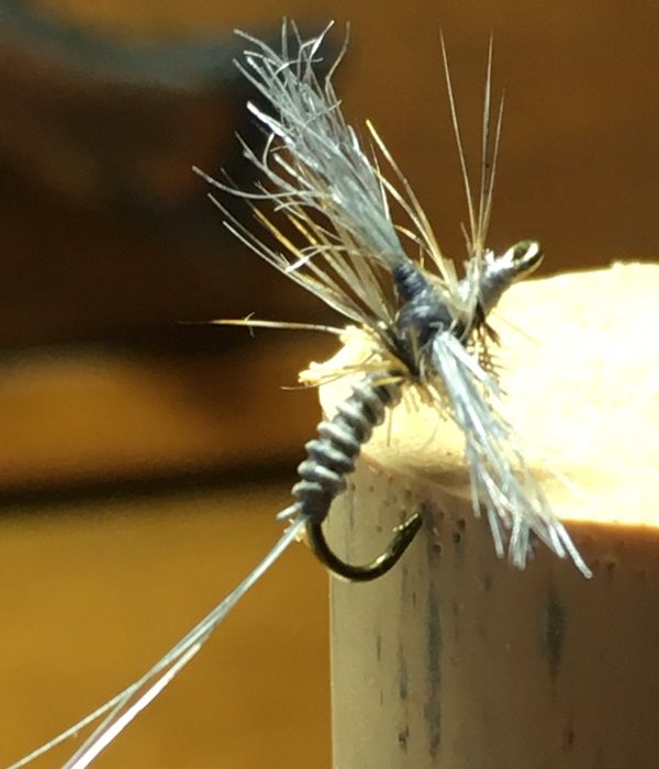 Polar Cripple Blue Quill Fly