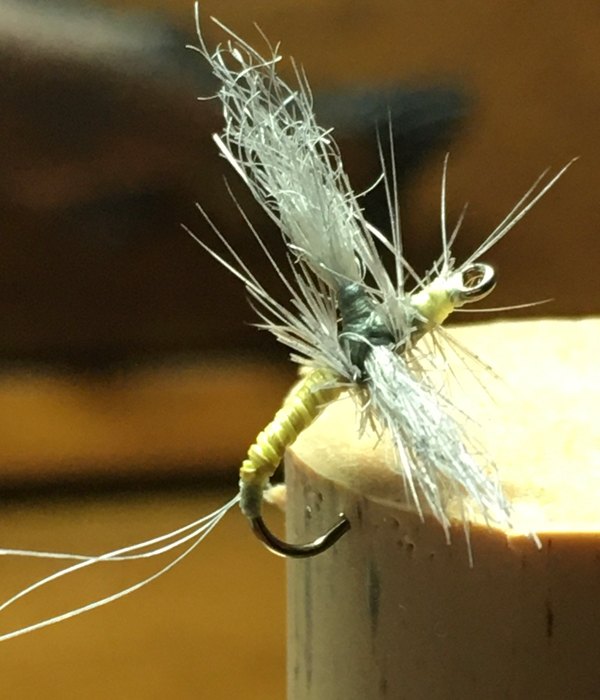 Polar Cripple Mad River Sulfur Fly