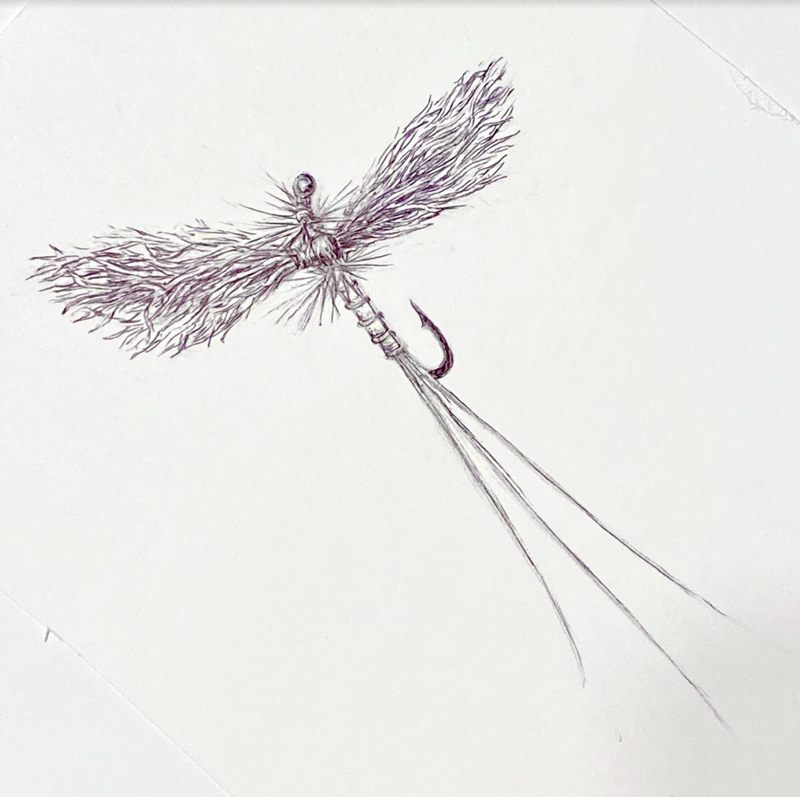 A hand drawing of a polar cripple fly