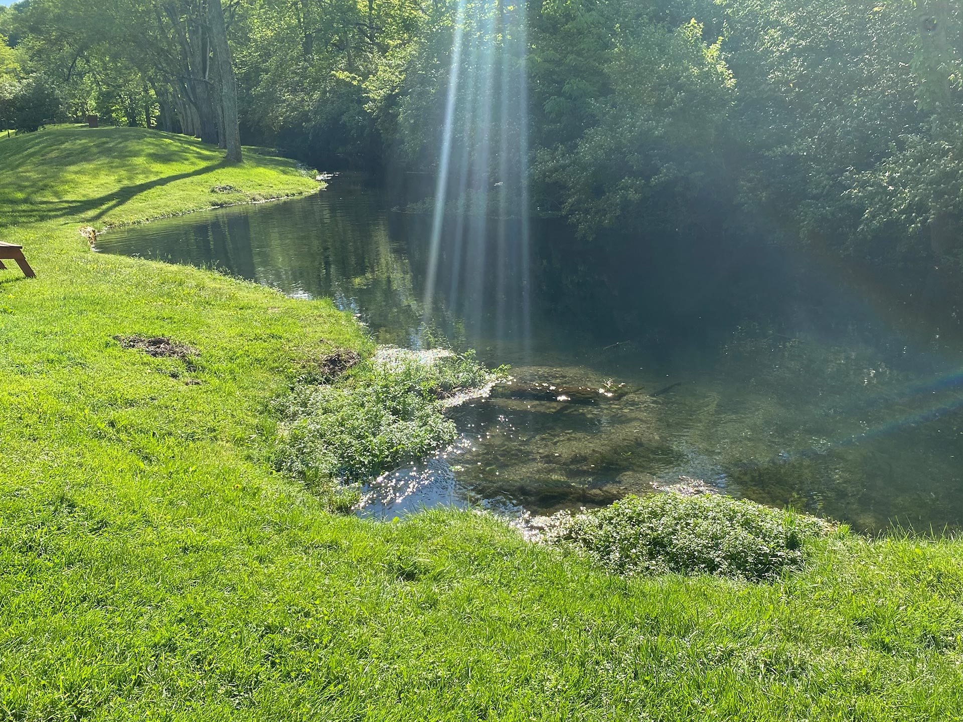 Sunshine spotlighting a cove in the stream