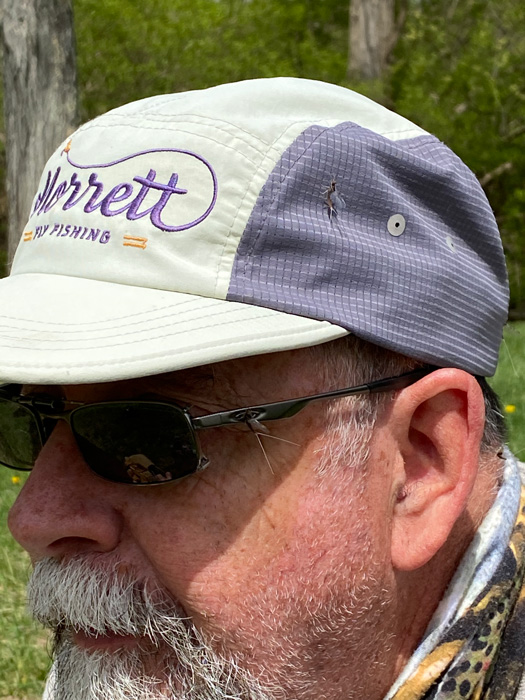 A natural fly landed on my hat