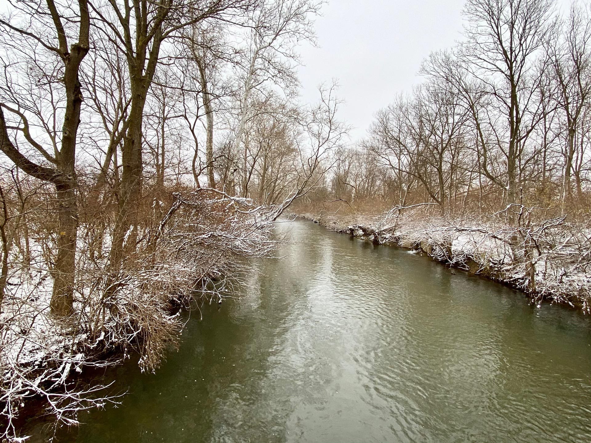 River in Ohio with snowy trees along the side.