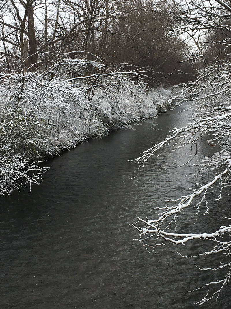 River in Ohio with snowy trees along the side.