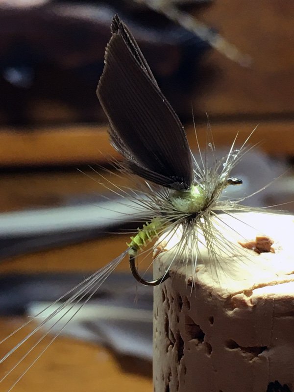 Mad River Sulfur Thorax Dun Fly