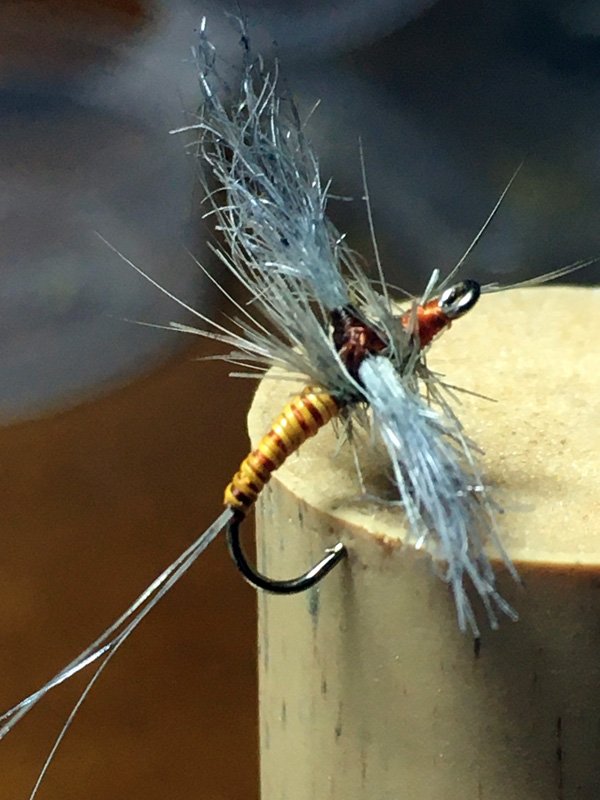 Moose Holston Orange Sulfur Cripple Fly