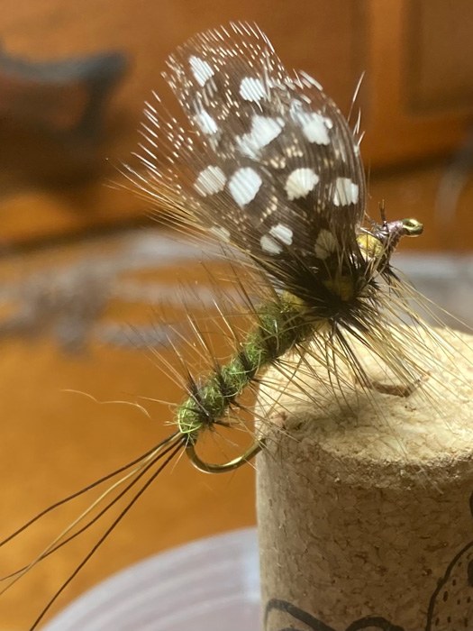 Custom Fly Case Study: Unraveling the Mystery - Morrett Fly Fishing