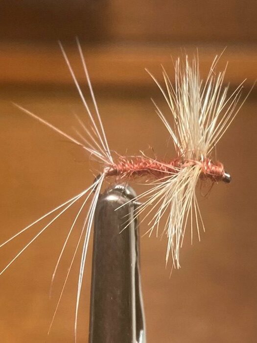 Fly Fishing's New Fly: A Creative Twist on a Natural Pattern