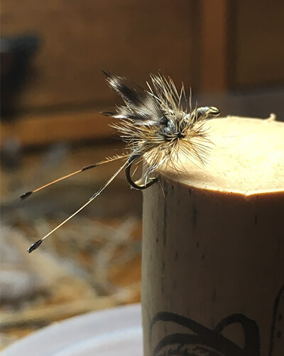 Greg's Turkey Biot Midge Fly Tying Video  The Caddis Fly: Oregon Fly  Fishing Blog