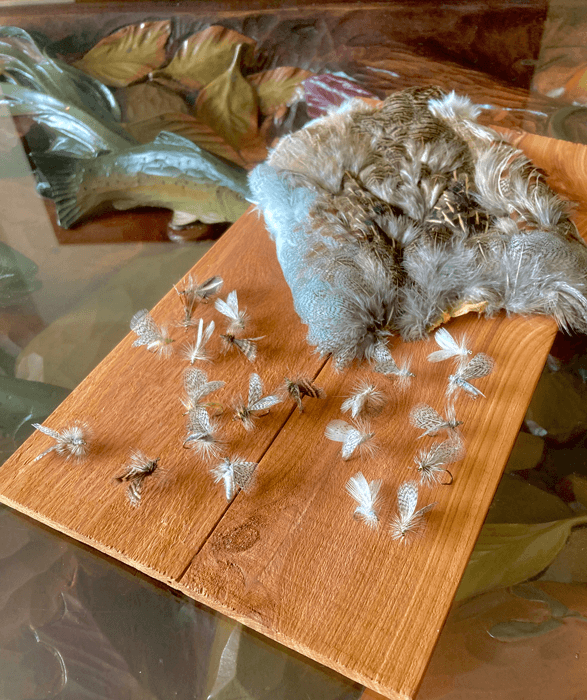 Spruce Moth Fly variations sitting on a table.