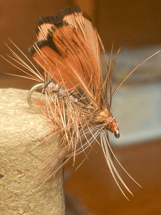UCUCC Sample Fly Pattern