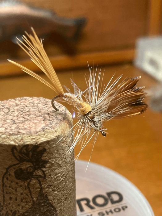 Fly Fishing's New Fly: A Creative Twist on a Natural Pattern