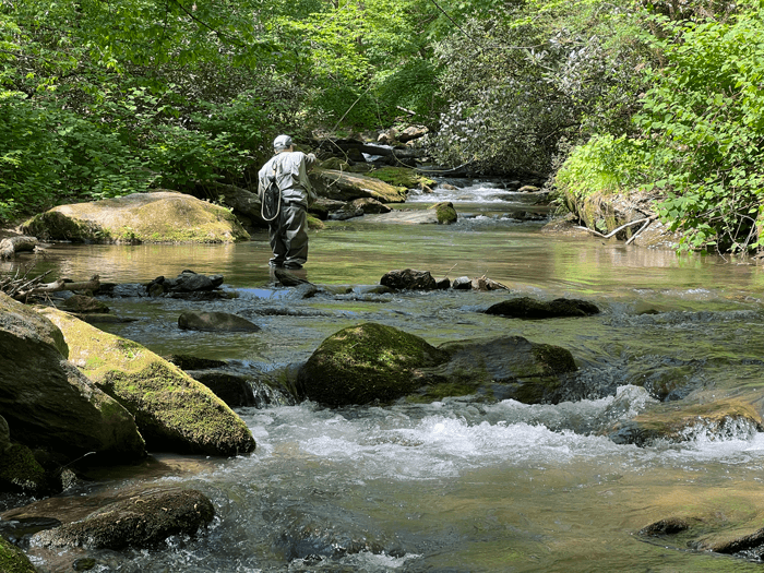 Me reach casting upstream in a wild mountain stream.