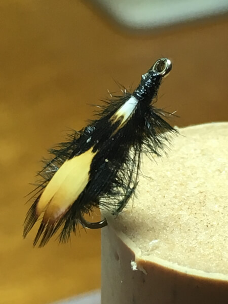 Jassid Beetle Fly