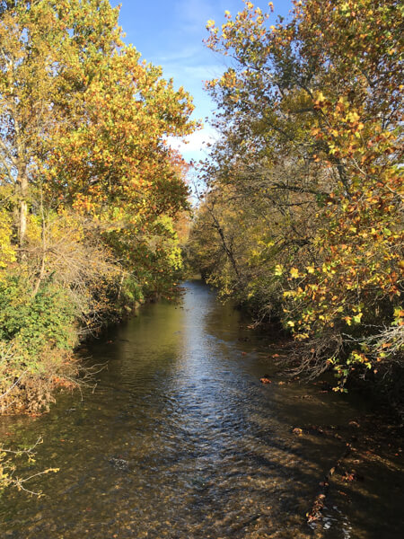 River with fall leaves round it