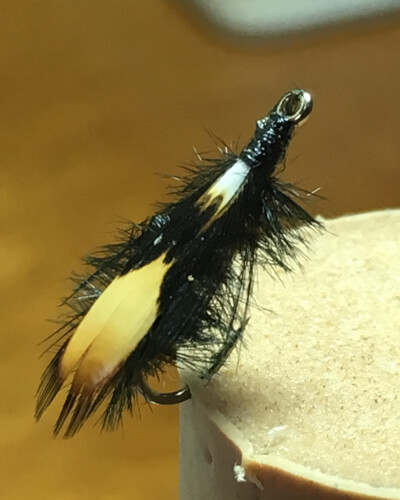 Jassid Beetle