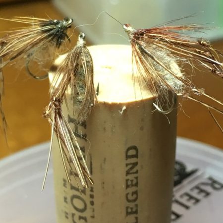 Caddis with legs hooked into a cork