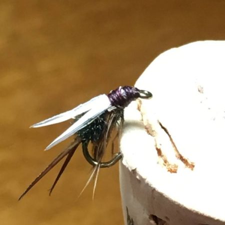 Prince nymph hooked into a cork
