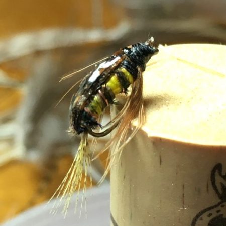 Tellico nymph hooked into a cork